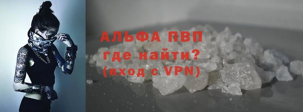 мдпв Бородино