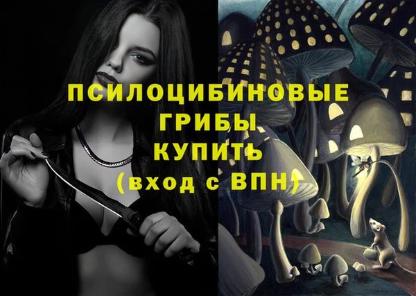 мдпв Бородино