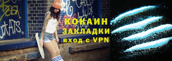 мдпв Бородино