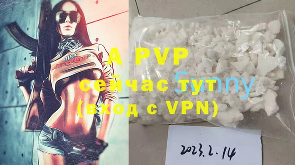 мдпв Бородино