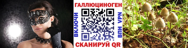 Псилоцибиновые грибы Cubensis kraken даркнет Telegram Вятские Поляны